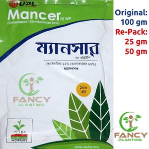 Mansar