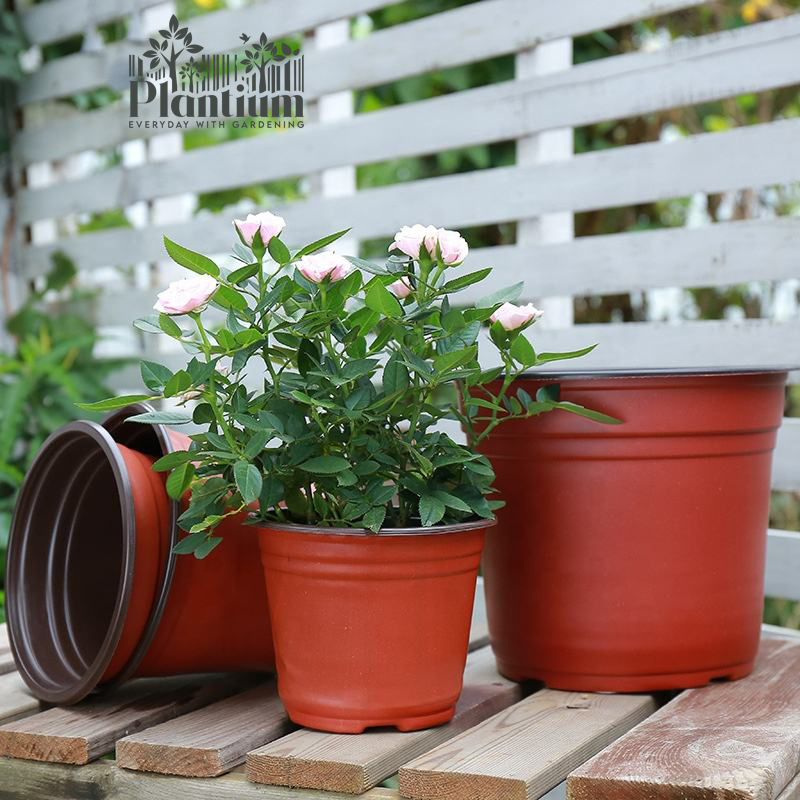 Thermoforming Plastic Pot