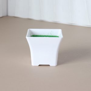 Square Pot