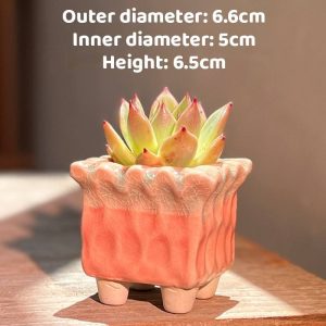 Small Slice Square Pot