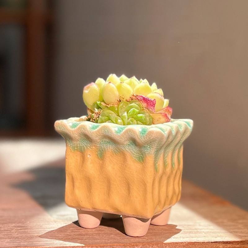 Small Slice Square Pot