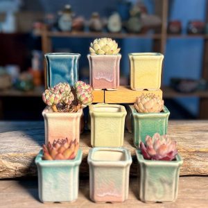Xiaogaofang Tall Square Pot