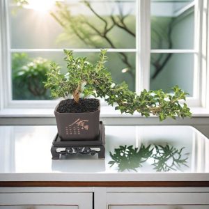Square Imitation Plant Pot