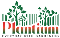 Plantium-Logo